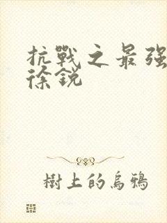 抗战之最强兵王徐锐