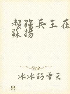 超强兵王在都市苏扬