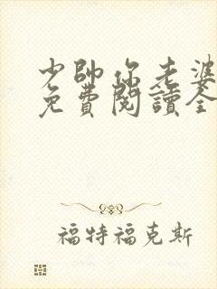 少帅你老婆跑了免费阅读全文