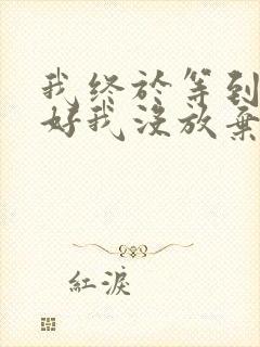 我终于等到你还好我没放弃