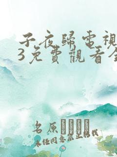 子夜归电视剧33免费观看全集高清