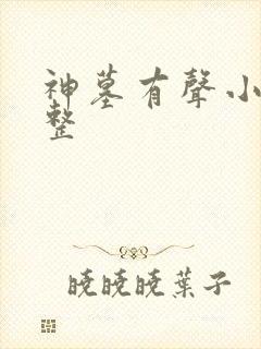 神墓有声小说完整