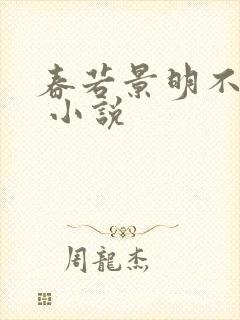 春若景明不相逢 小说