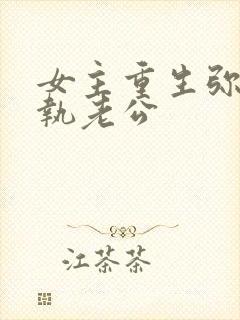 女主重生弥补偏执老公