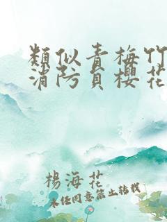 类似青梅竹马是消防员樱花的动漫