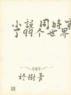 小说 同时穿越了99个世界