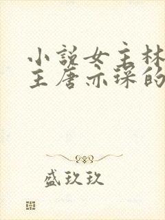 小说女主林舒男主唐亦琛的书名