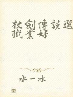 杖剑传说选哪个职业好