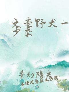 文豪野犬一共多少季