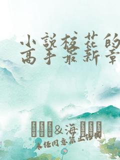 小说校花的贴身高手最新章节列表列表