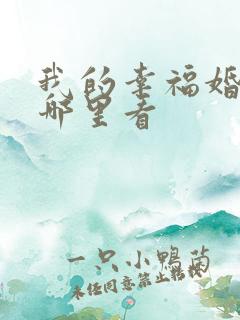 我的幸福婚约在哪里看