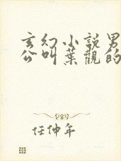 玄幻小说男主人公叫叶观的小说