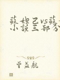 苏妲己vs苏媚小说三部分阅读