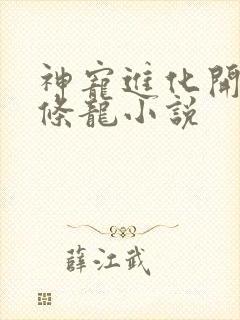 神宠进化开局一条龙小说