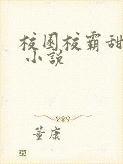 校园校霸甜宠文 小说