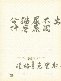 公猫尿不出来尿什么原因