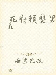 死对头双男主高h