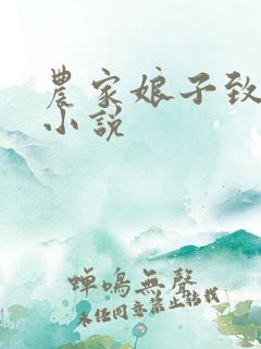 农家娘子致富记小说