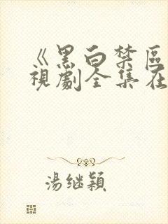 《黑白禁区》电视剧全集在线观看