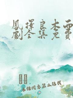 凤择良木而栖短剧全集免费