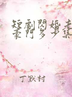 短剧闪婚老公是豪门多少集