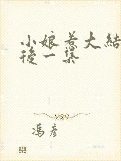 小娘惹大结局最后一集