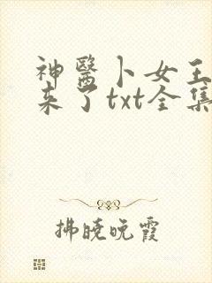 神医卜女王妃回来了txt全集下载