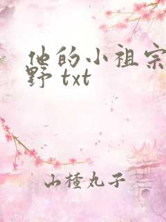 他的小祖宗甜又野 txt