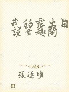 我的露出日常小说笔趣阁