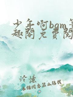 少年啊bgm笔趣阁免费阅读全文