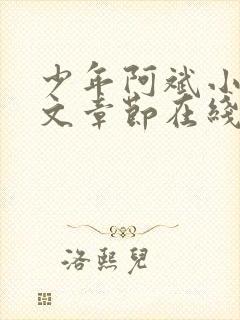 少年阿斌小说全文章节在线阅读