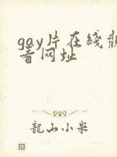 gay片在线观看网址