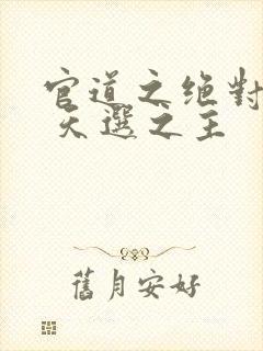 官道之绝对权力 天选之主