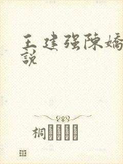 王建强陈娇娇小说