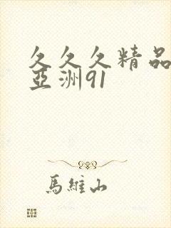 久久久精品国产亚洲91