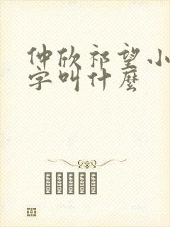 仲欣祁望小说名字叫什么