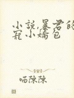 小说,暴君的甜宠小娇包