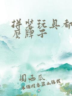 拼装玩具都有什么牌子