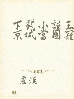 下载小说王妃在京城当团宠