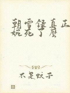 朝雪录真正的秦婉死了么