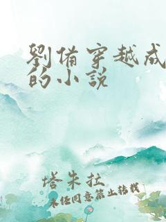 刘备穿越成赵构的小说