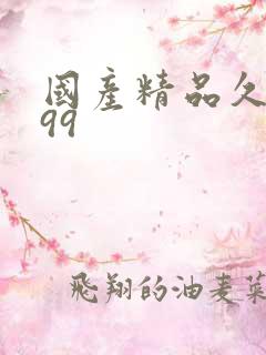 国产精品久久久99