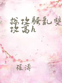 总攻骚乱双性互攻高h