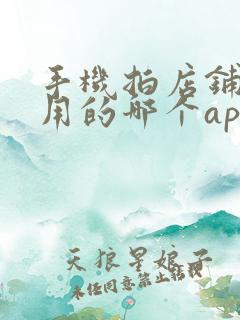 手机拍店铺挣钱用的哪个app