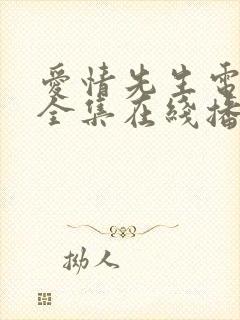 爱情先生电视剧全集在线播放