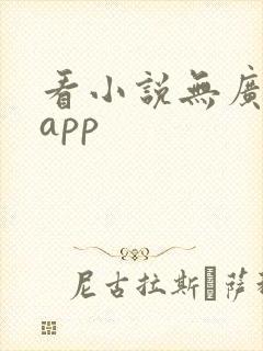 看小说无广告的app