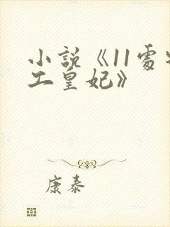 小说《11处特工皇妃》