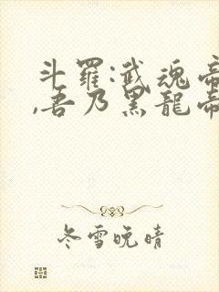 斗罗:武魂帝天,吾乃黑龙帝君