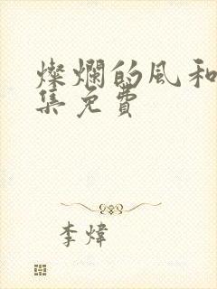 灿烂的风和海全集免费