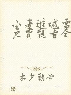 小麦进城电视剧免费观看全集超清